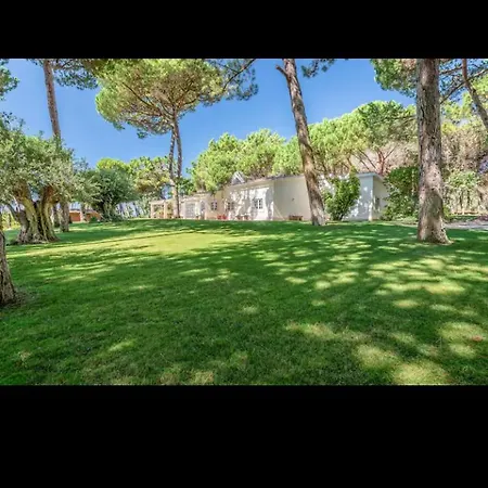 Jardim E Serra *