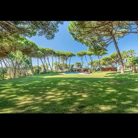 Accommodatie bij particulieren Jardim E Serra