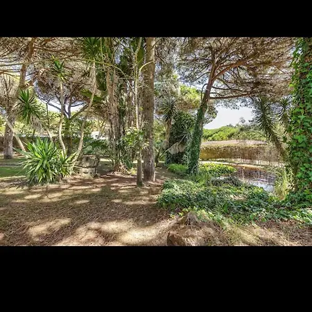 Accommodatie bij particulieren Jardim E Serra Sintra